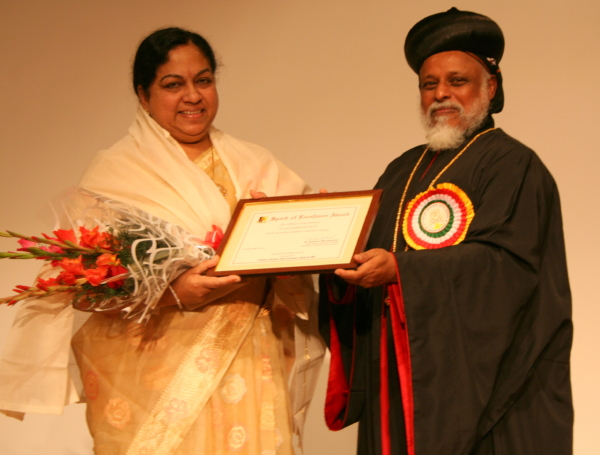 Spark of Excellence Award