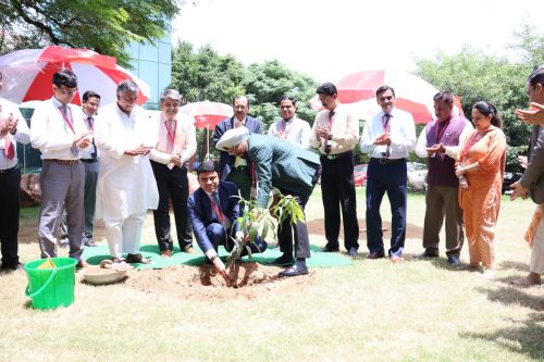 JMD-sir-seeding-plant-min